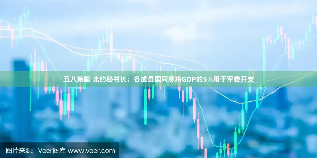 五八策略 北约秘书长：各成员国同意将GDP的5%用于军费开支