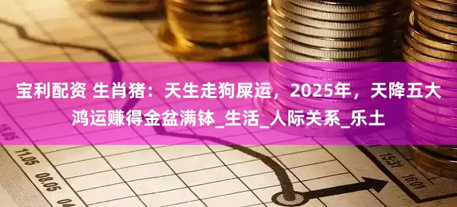 宝利配资 生肖猪：天生走狗屎运，2025年，天降五大鸿运赚得金盆满钵_生活_人际关系_乐土