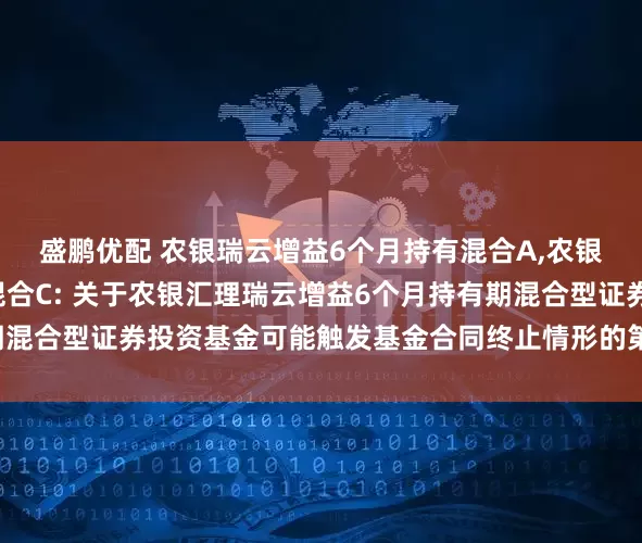 盛鹏优配 农银瑞云增益6个月持有混合A,农银瑞云增益6个月持有混合C: 关于农银汇理瑞云增益6个月持有期混合型证券投资基金可能触发基金合同终止情形的第二次提示性公告