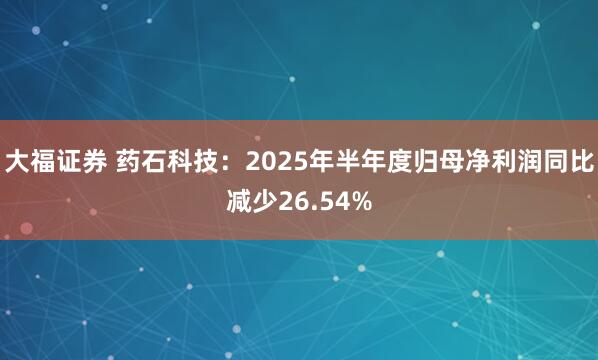 大福证券 药石科技：2025年半年度归母净利润同比减少26.54%
