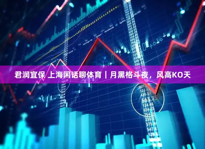 君润宜保 上海闲话聊体育｜月黑格斗夜，风高KO天