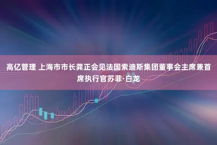 高亿管理 上海市市长龚正会见法国索迪斯集团董事会主席兼首席执行官苏菲·白龙